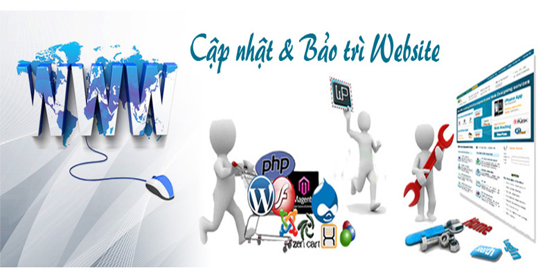 cập nhật và bảo trì website định kỳ