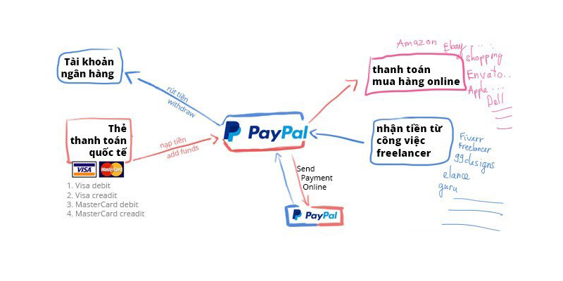 Paypal hoạt động như thế nào